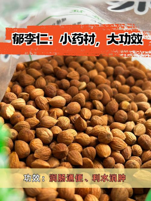 郁李仁:小药材,大功效