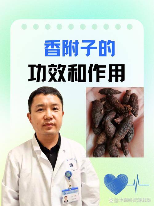 香附子的功效与作用包括什么 香附子性味辛,微苦,微甘,平,归肝,脾,三